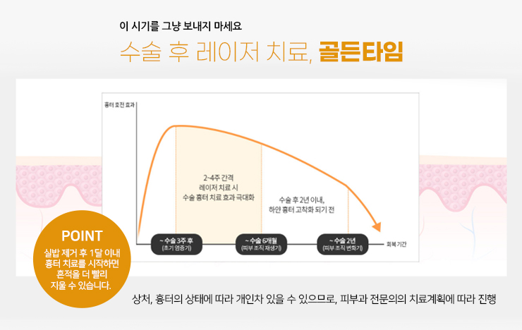 상처 치유 3단계 그래프: 염증기, 증식기, 리모델링기 구조