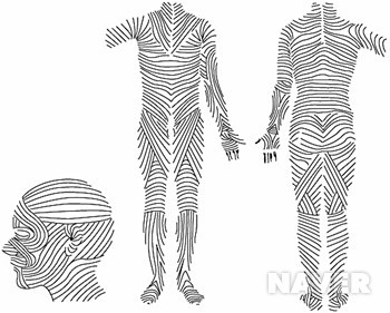인체 피부이완선 분포도 지식백과