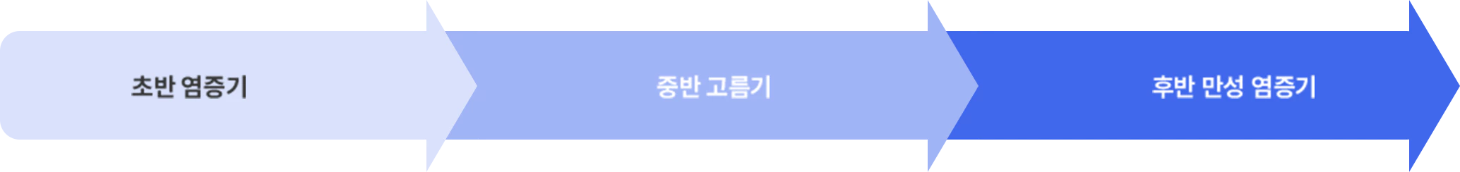 피지낭종/표피낭종 초반 염증기, 중반 고름기, 후반 만성 염증기 이미지