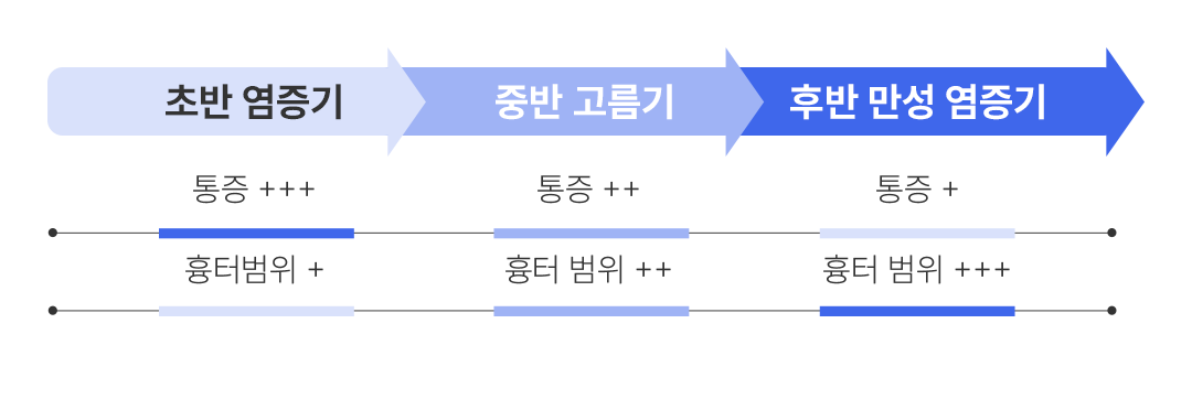 피지낭종/표피낭종 초반 염증기, 중반 고름기, 후반 만성 염증기 이미지